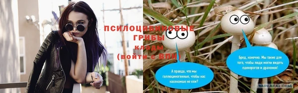 кокс Абинск