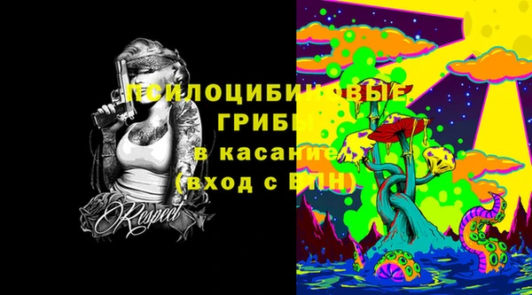 круглые Алзамай
