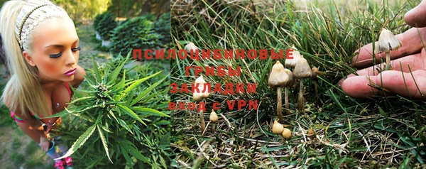 кокс Абинск