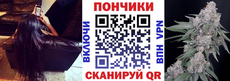 Марихуана сатива Сурск
